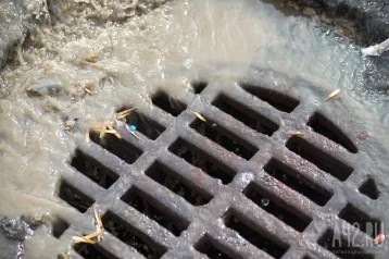 Фото: «Вонища стоит непередаваемая»: жительница кузбасского города пожаловалась на неисправную канализацию 1