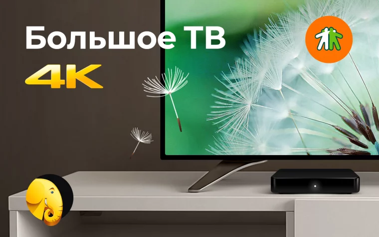 Фото: «Большое ТВ 4K»: новый стандарт телевидения в Кузбассе 1