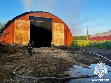 Фото: МЧС: в Кузбассе сгорел ангар с сеном на площади 450 квадратных метров 4