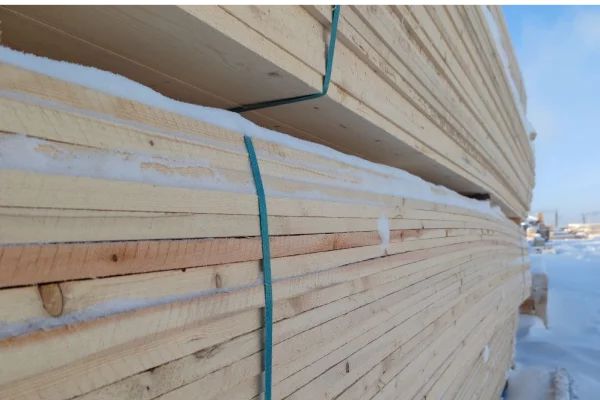 С начала года из Кузбасса в Таджикистан вывезли более 14 000 кубометров пихты и ели