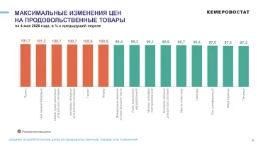 Инфографика: Кемеровостат