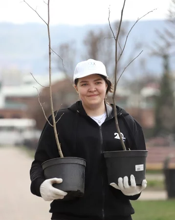 Фото: «Южный Кузбасс» сажает деревья 1