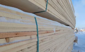 С начала года из Кузбасса в Таджикистан вывезли более 14 000 кубометров пихты и ели