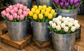 В Кузбассе двое романтиков украли из магазина 5 вёдер тюльпанов