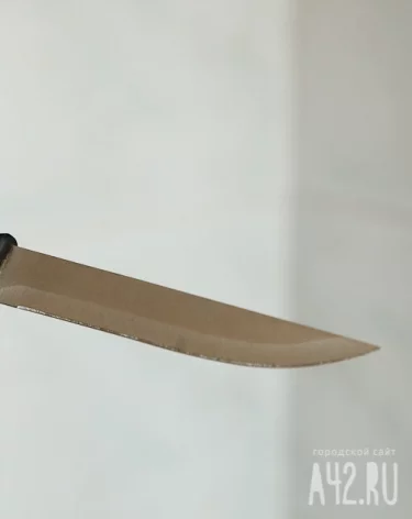 В СК рассказали подробности убийства бабушки 16-летним внуком в Кузбассе