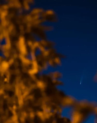 Уничтожен ещё один беспилотник, летевший на Москву