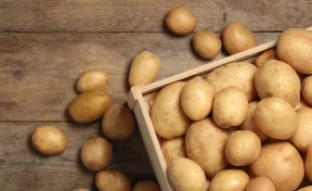 РСХБ рассказал, как полезнее всего есть картофель 