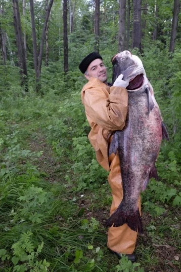Фото: На Урале поймали гигантского толстолобика размером с человека 1