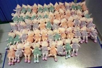 Фото: 60 игрушечных мышей из Таиланда не прошли кемеровскую таможню 1