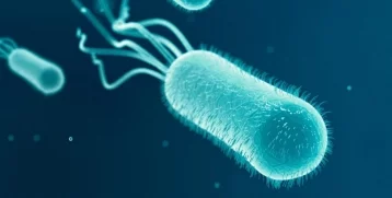Фото: На МКС напечатали бактерии кишечной палочки 1