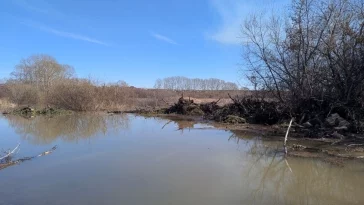 Фото: В кузбасском городе разлилась река, подтоплены огороды 2