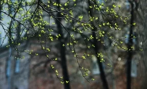 Гром, снегопады и дожди: какой будет весна в Кузбассе