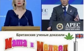 «Маша и Медвед»: Захарова опубликовала мем с премьер-министром