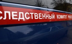 Топ-менеджера крупной фирмы в Санкт-Петербурге нашли мёртвой