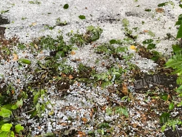 Фото: Крупный град и штормовой ветер обрушились на Кузбасс  4