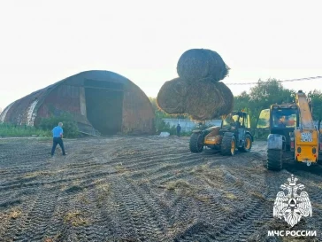 Фото: МЧС: в Кузбассе сгорел ангар с сеном на площади 450 квадратных метров 5