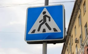 В кузбасском городе появилась цифровая «зебра»