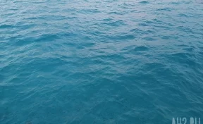 «Это абсолютное безумие»: яхтсмены обнаружили «корабль-призрак» в Бермудском треугольнике