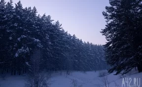 В Хабаровском крае пропавшего в мороз десятилетнего мальчика нашли живым