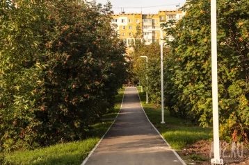 Фото: Илья Середюк: в Кузбассе начали выбирать общественные пространства для ремонта в 2026 году 1