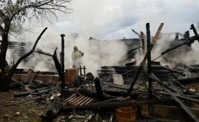 Пятеро детей в возрасте от 2 месяцев до 17 лет сгорели на пожаре в Подмосковье