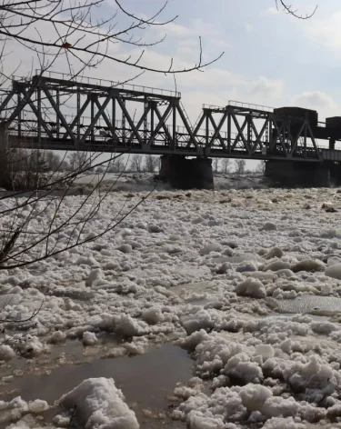 Фото: <a href=https://t.me/ilyaseredyuk/8215>Илья Середюк</a> / Телеграм