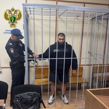 Фото: В Москве суд отправил в СИЗО блогера Арсена Маркаряна 1