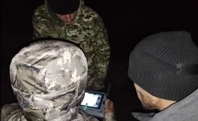 Медведя, замеченного на выходных в Кемерове, отогнали за пределы города