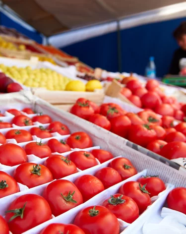 Из Казахстана в Кузбасс ввезли почти 70 тонн свежих овощей