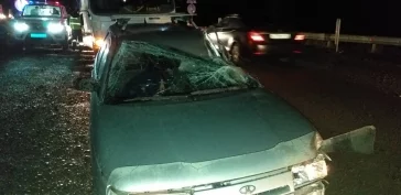 Фото: На кузбасской трассе ВАЗ смяло после столкновения с грузовиком 2