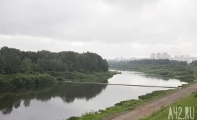 Горожанин предложил создать красивый парк на Кемеровском острове