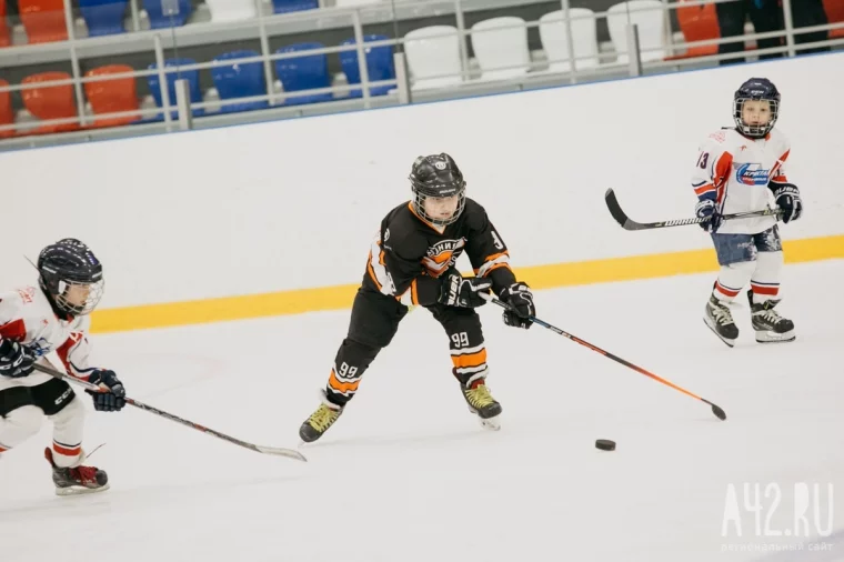 Фото: Семилетние хоккеисты из Кемерова взяли серебро на домашнем турнире 1