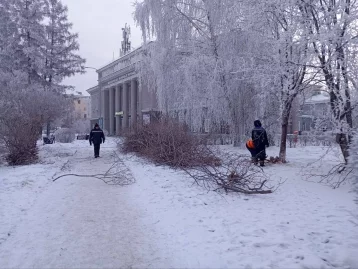 Фото: В Кемерове сквер у дома культуры Кировского района готовят к благоустройству 1