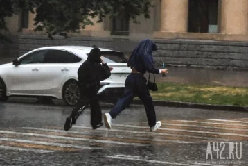 Фото: Сыро, туманно и тепло: синоптики рассказали о погоде на последней неделе августа в Кузбассе 1
