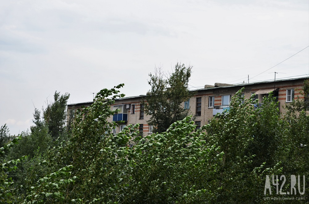 В Кемерове от сильного ветра упали более 20 веток деревьев