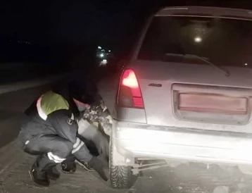 Фото: В Кузбассе инспекторы ДПС пришли на помощь водителю иномарки 1