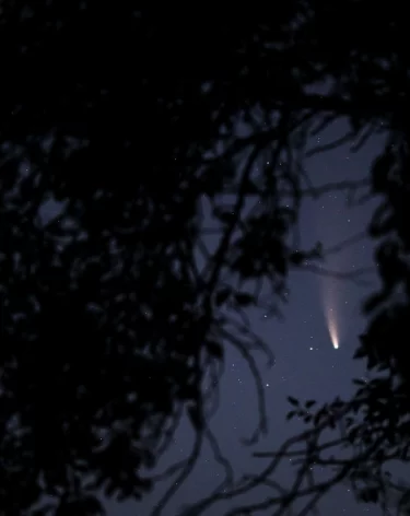 «Не каждый год залетает»: жители Кузбасса могут увидеть межзвёздную комету 3I/ATLAS 