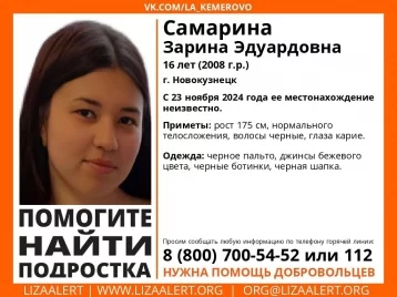 Фото: Волонтёры сообщили о пропаже 16-летней школьницы в Новокузнецке 1