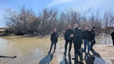 Фото: В кузбасском городе разлилась река, подтоплены огороды 3