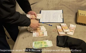 В Кузбассе задержали начальника лесничества за получении взятки в размере более 2 млн рублей