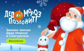 «Дед Мороз позвонит»: кузбассовцы могут заказать новогоднее поздравление бесплатно