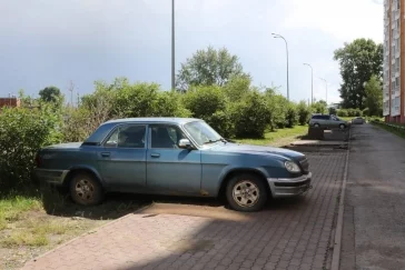 Фото: В Кемерове водителей массово штрафуют за парковку на газоне: прошёл очередной рейд 3