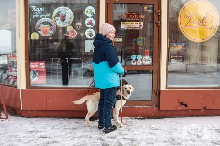 Фото: Глаза человека. Мы прошли по Кемерову с незрячей студенткой и собакой-поводырём 4