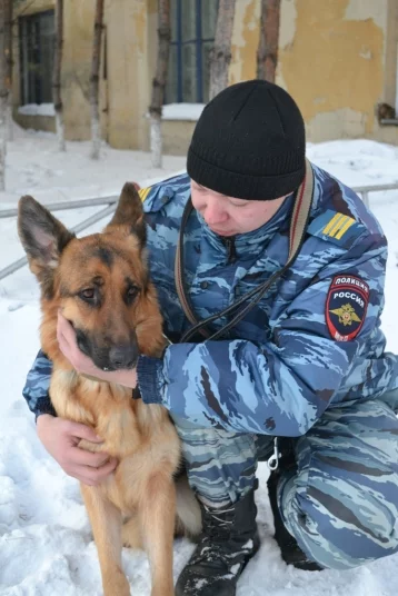 Фото: В Кузбассе служебная собака Юста помогла задержать подозреваемого в краже 1