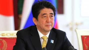 Фото: В Японии правительство подало в отставку в полном составе 1