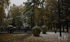 В ночь на 12 октября температура в Кузбассе опустится до -13 градусов