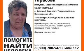 В Кузбассе 66-летняя женщина ушла в лес и пропала