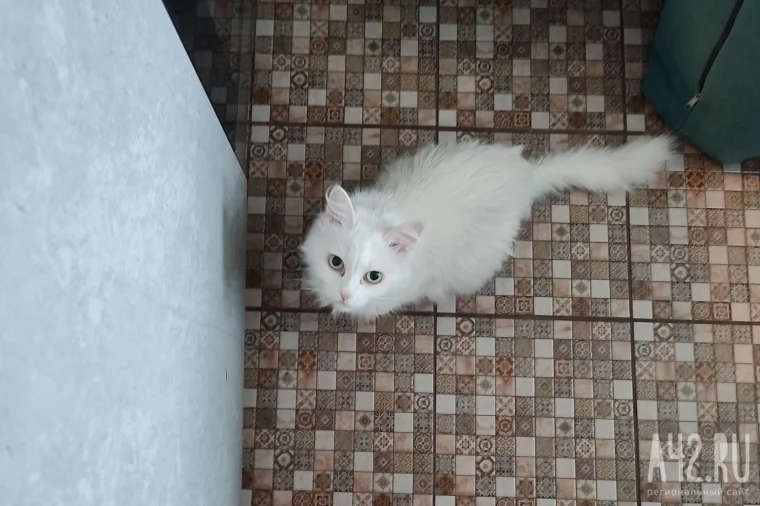 Фото: Неделя на продуктах за 1673 рубля: как я сэкономила тысячу и возненавидела эксперименты 21