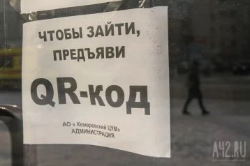 Фото: Предпринимателям Кузбасса, пострадавшим из-за QR-контроля, рассказали о снижении налогов 1