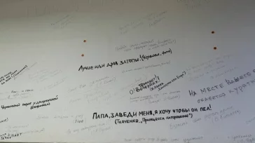 Фото: В Кемерове начался капремонт Театра для детей и молодёжи, его закончат в 2026 году 3